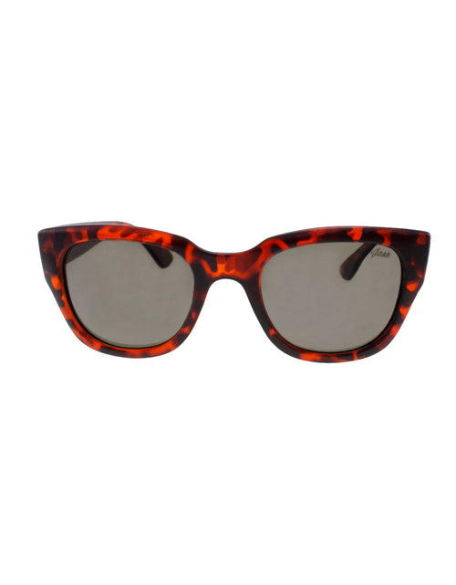 Load image into Gallery viewer, Jase New York Delano Sunglasses in Havana

